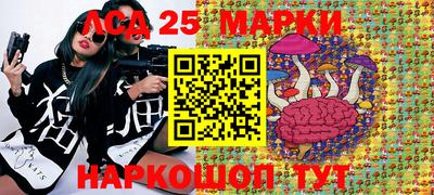 твердый Будённовск