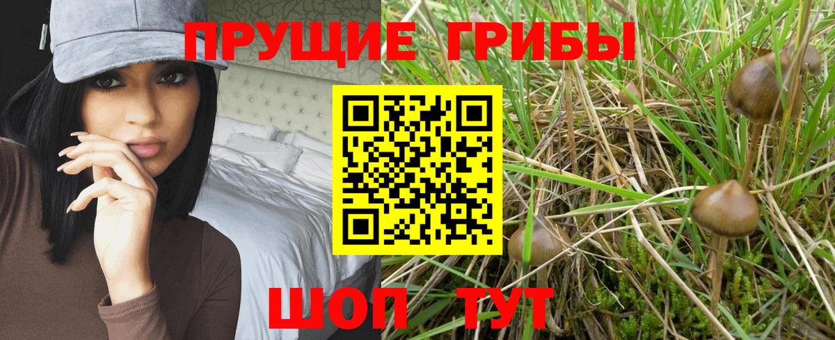 Галлюциногенные грибы ЛСД  Вход с VPN  Озёры  Галлюциногенные грибы GOLDEN TEACHER 