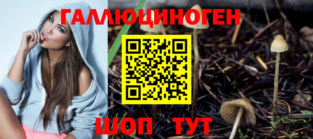 Галлюциногенные грибы Cubensis Озёры